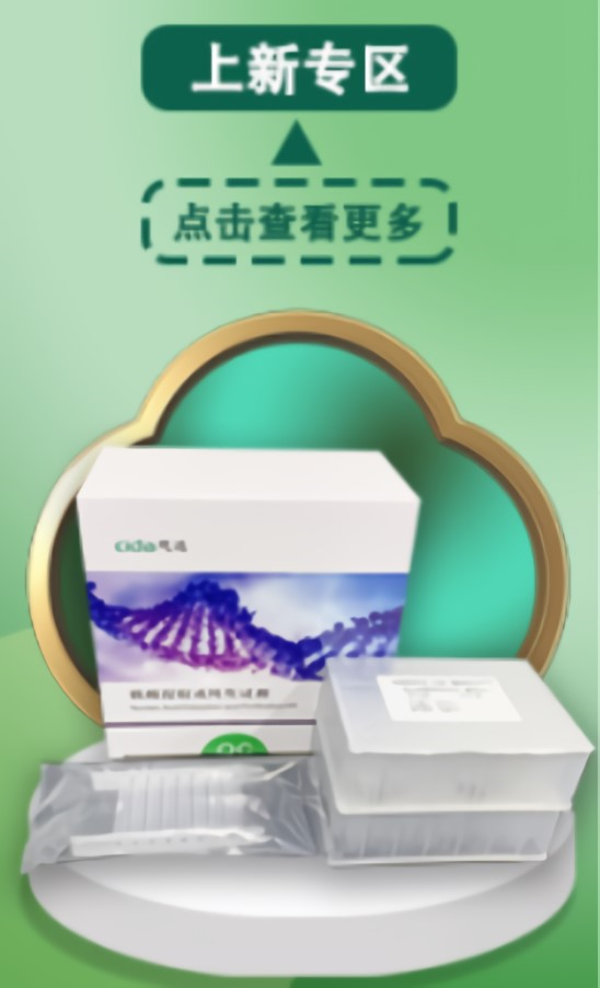 上新专区